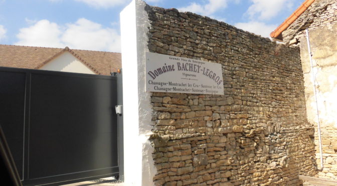 生産者紹介　ドメーヌ　パシェ　ルグロ