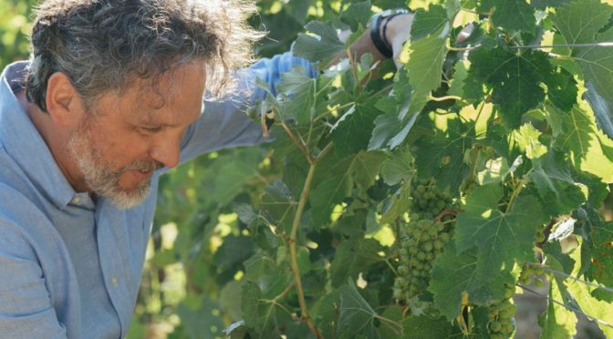 生産者紹介	テヌータ　ﾃﾞﾙ　オルネライア