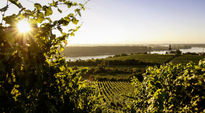 キューリング・ジロー醸造所